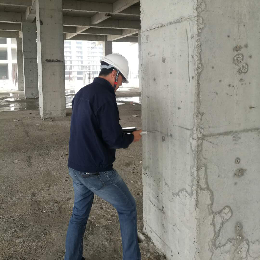 主體結(jié)構(gòu)檢測(cè)