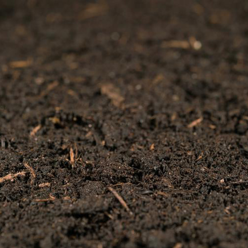 土壤/沉積物檢測